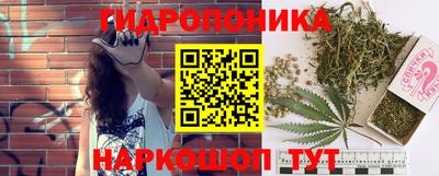 молекула духа Лесосибирск