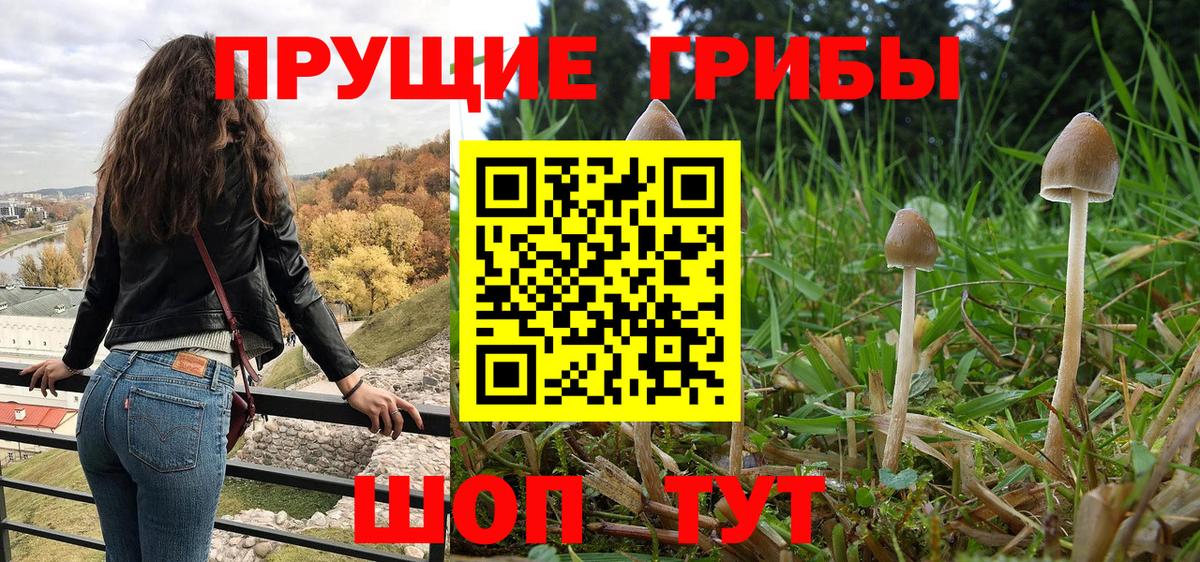 Галлюциногенные грибы GOLDEN TEACHER Щёлково