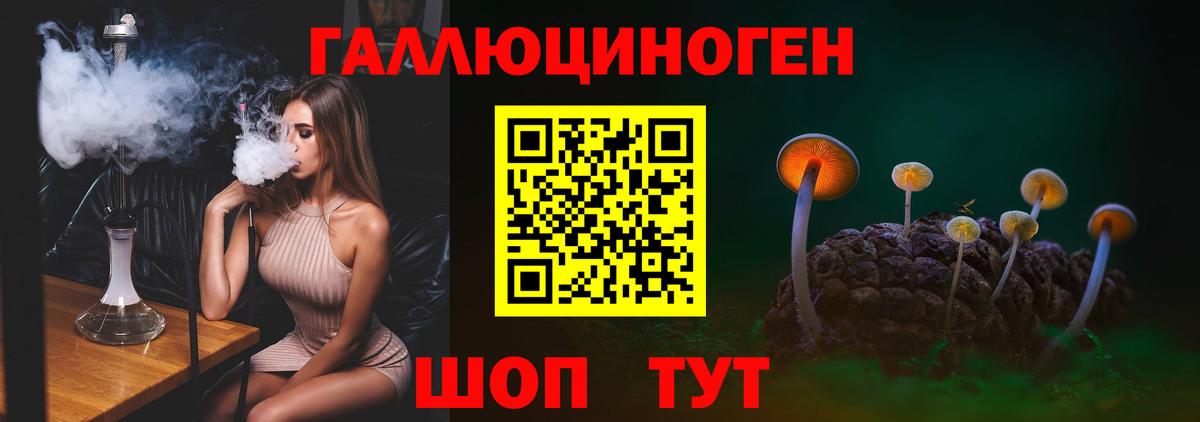Галлюциногенные грибы Psilocybe  Вход с VPN  Щёлково 